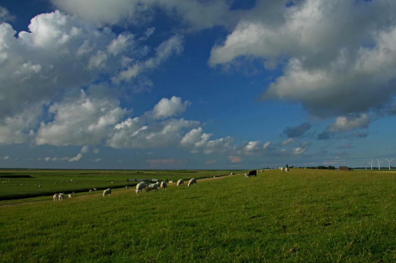 "Wattengebiet Entdeckungsreise" Tzummarum Exterior foto